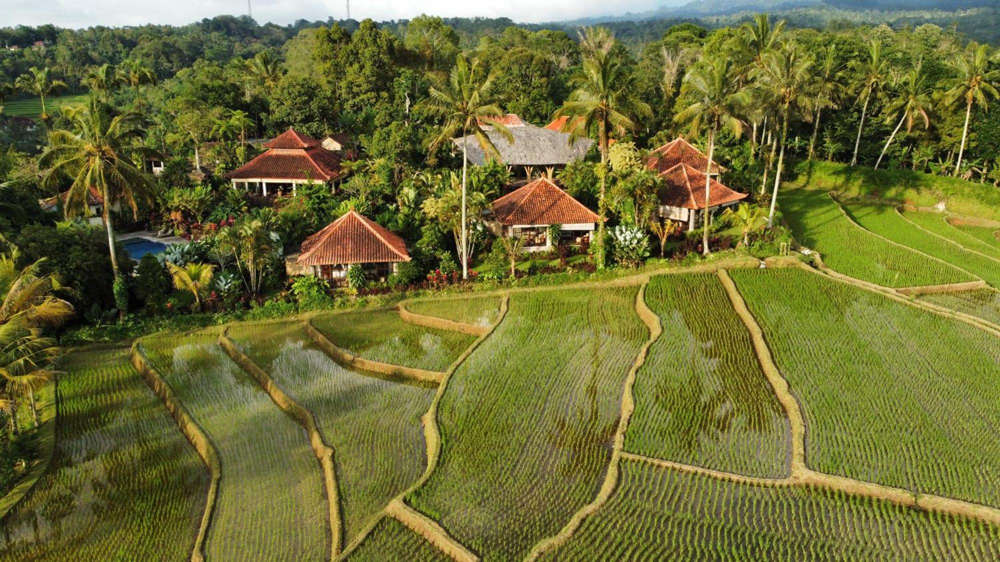 Sava Eco Retreat Hotel Padangan  Exterior photo